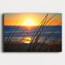 SUN0387 - Trigg Sunset