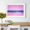 SUN0505 - Lily Creek Sunrise