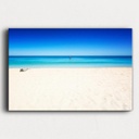 SUN0542 - Cottesloe Beach