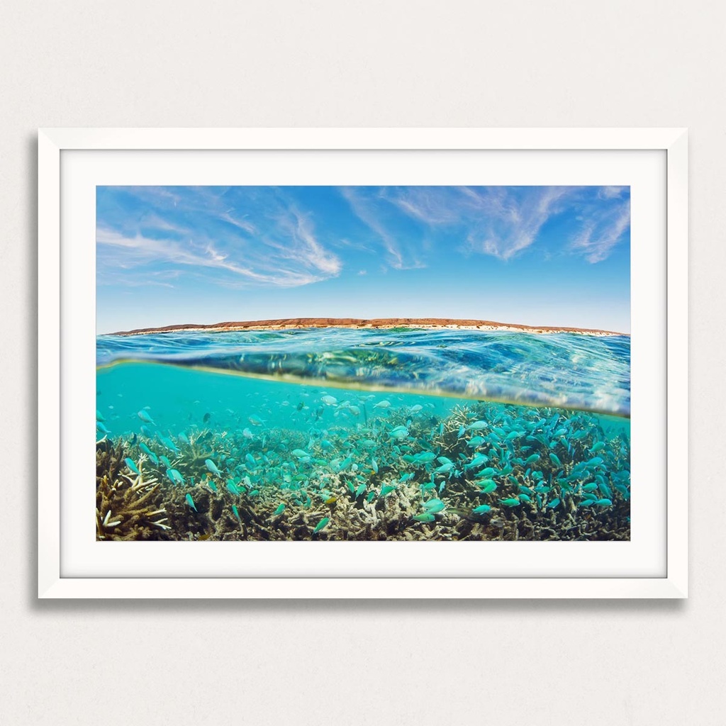 SUN0157 - Oyster Stacks