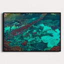 SUN0921 - Rottnest Colours