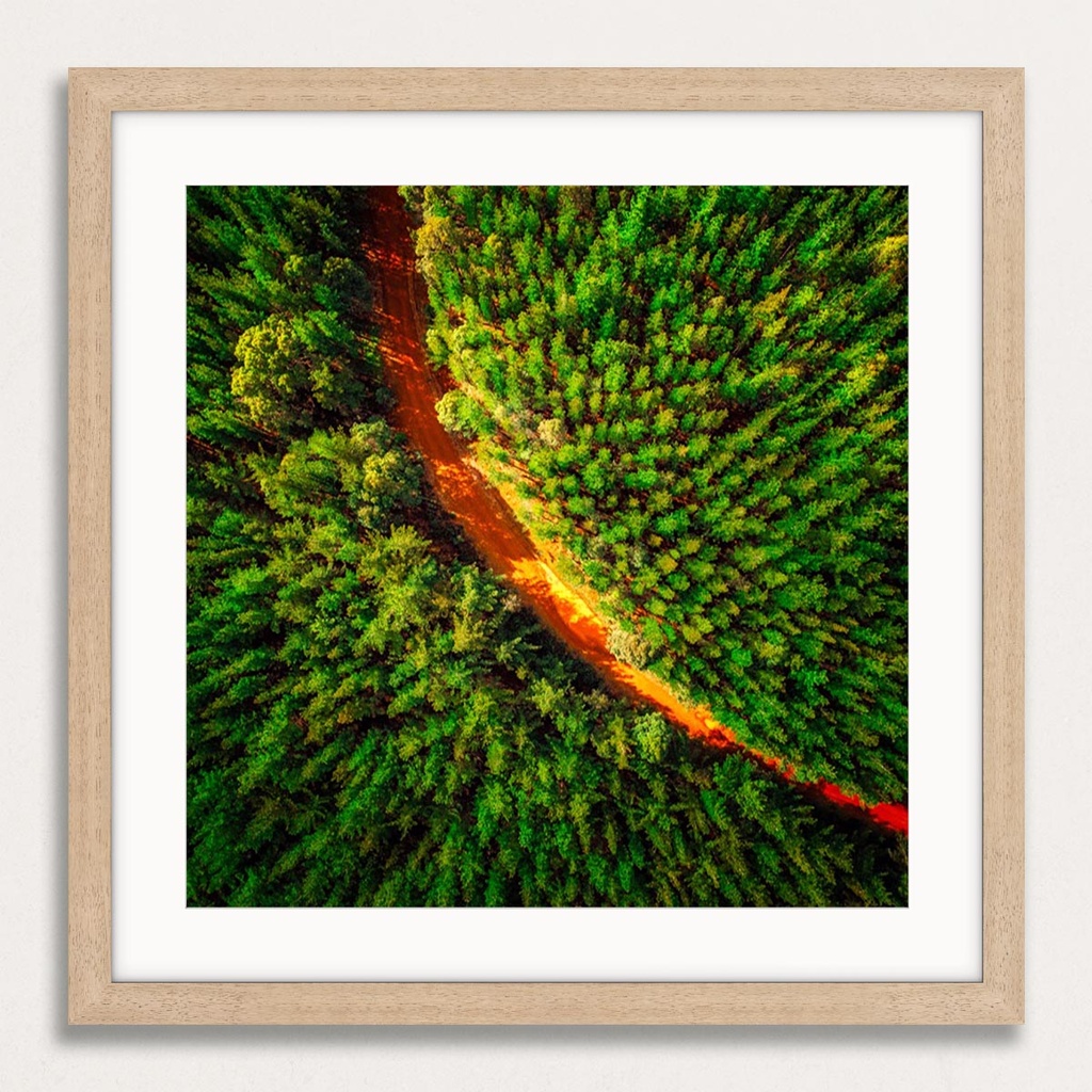 SUN1027 - Pine-O-Curve