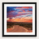 SUN0340 - Ningaloo Kangaroo