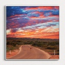 SUN0340 - Ningaloo Kangaroo