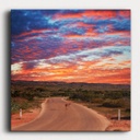 SUN0340 - Ningaloo Kangaroo