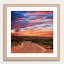 SUN0340 - Ningaloo Kangaroo