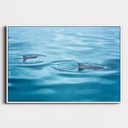 SUN0190 - Dolphins