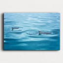 SUN0190 - Dolphins