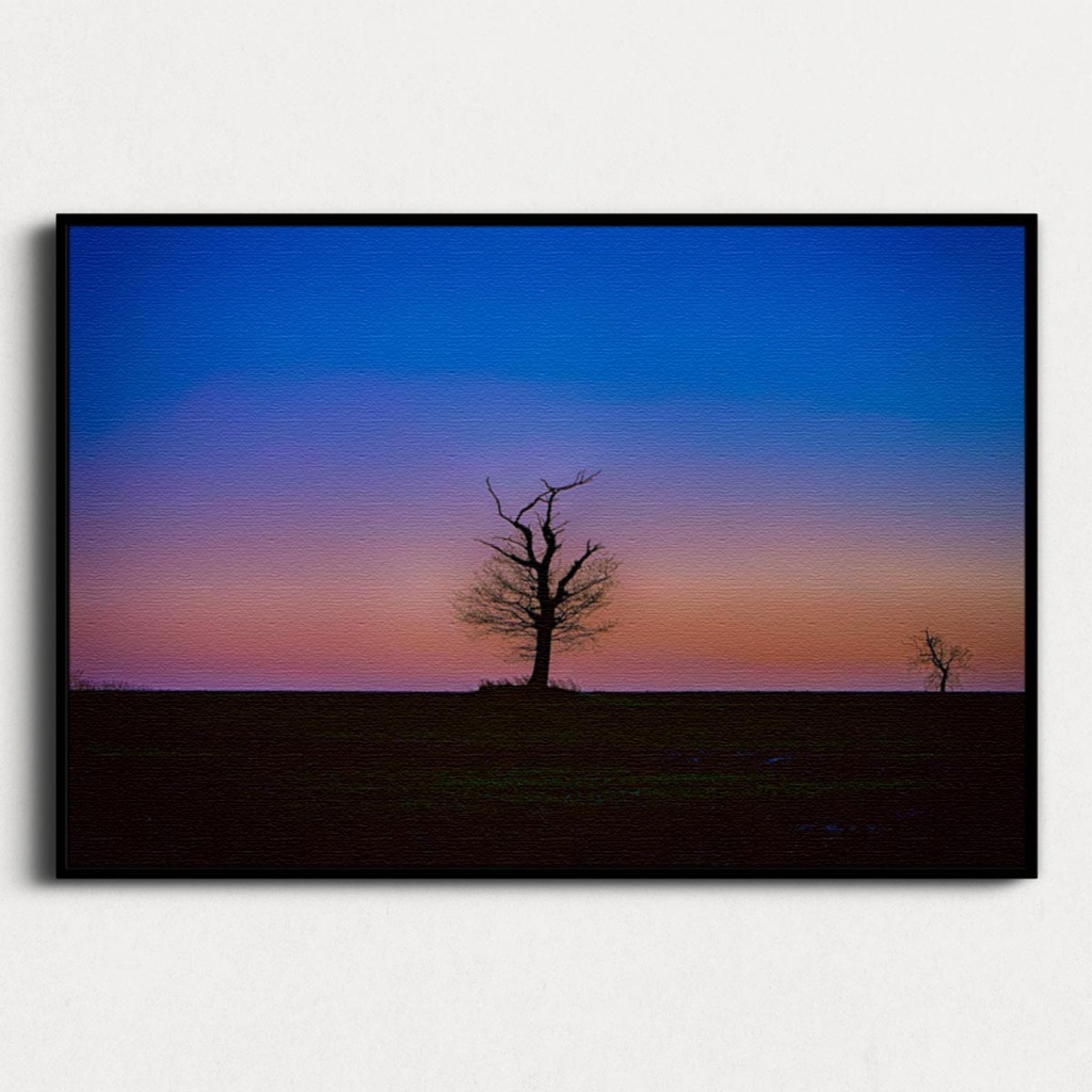 SUN0100 - Abberton Tree