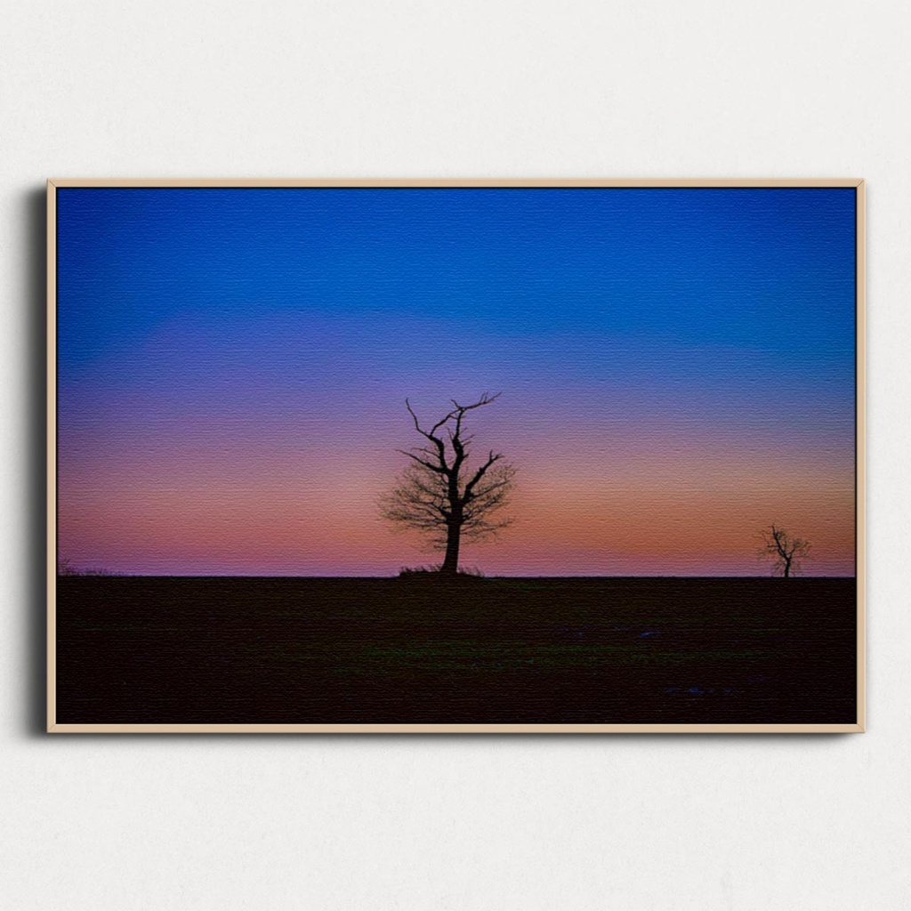 SUN0100 - Abberton Tree