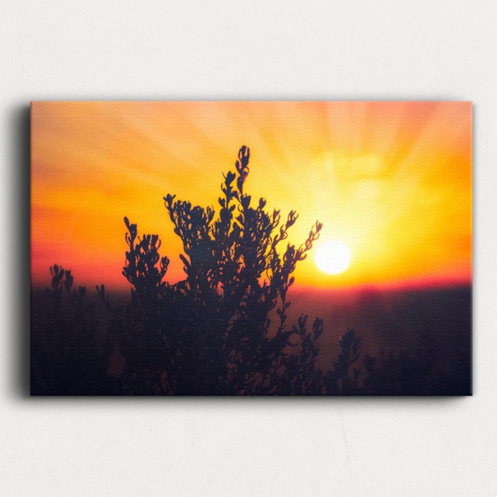 SUN0269 - Summer Sunset