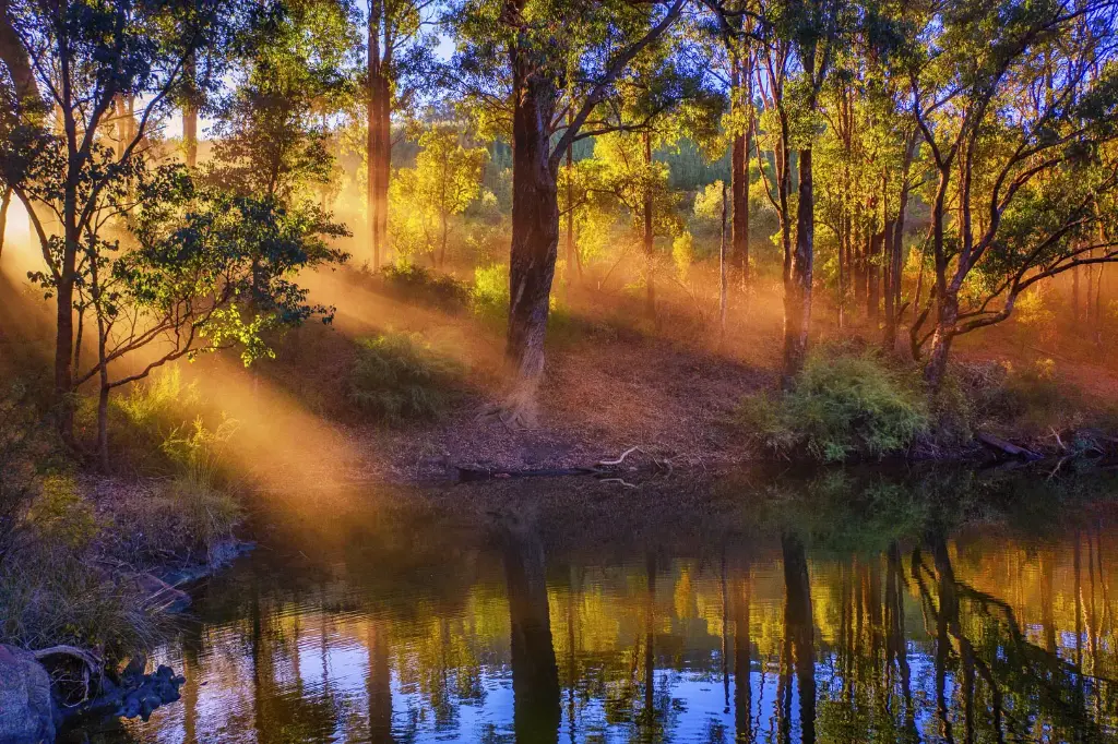 SUN1000 - Murray Beams (Fine Art Print - Rolled, 45 x 30cm)