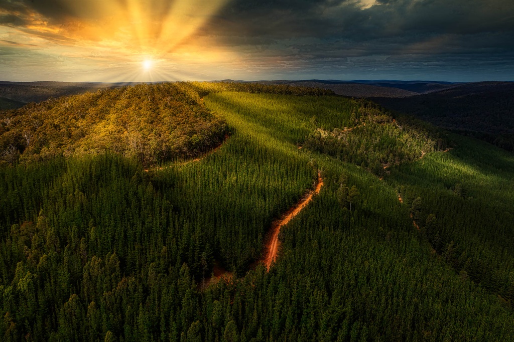 SUN1029 - Murray Valley Moods