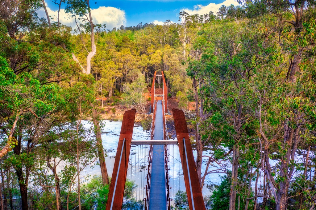 SUN1018 - Dwaarlindjirraap Happiness (Fine Art Print - Rolled, 45cm x 30cm)