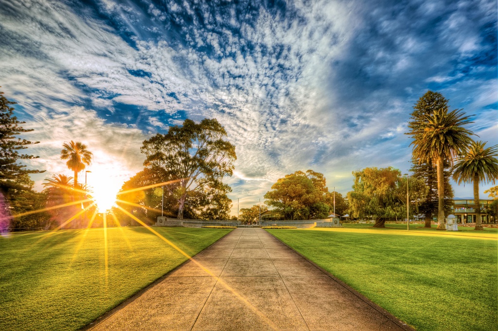 SUN0059 - Kings Park (Fine Art Print - Rolled, 45cm x 30cm)
