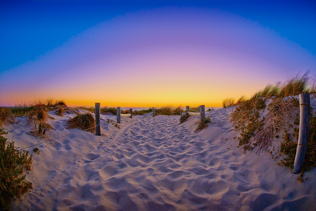 SUN0114 - Trigg Path (Fine Art Print - Rolled, 45cm x 30cm)