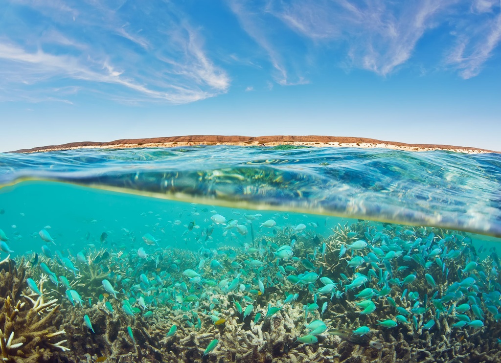 SUN0157 - Oyster Stacks (Fine Art Print - Rolled, 45cm x 30cm)