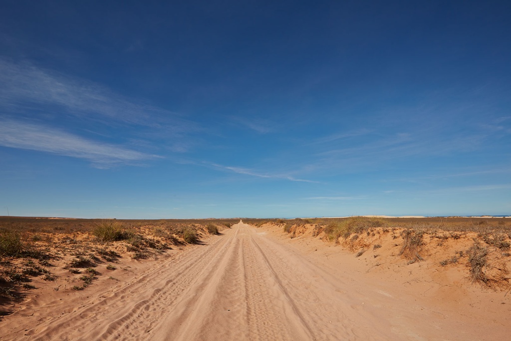 SUN0160 - Coastal Track (Fine Art Print - Rolled, 45cm x 30cm)