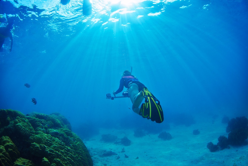 SUN0155 - Marine Scientist (Fine Art Print - Rolled, 45 x 30cm)