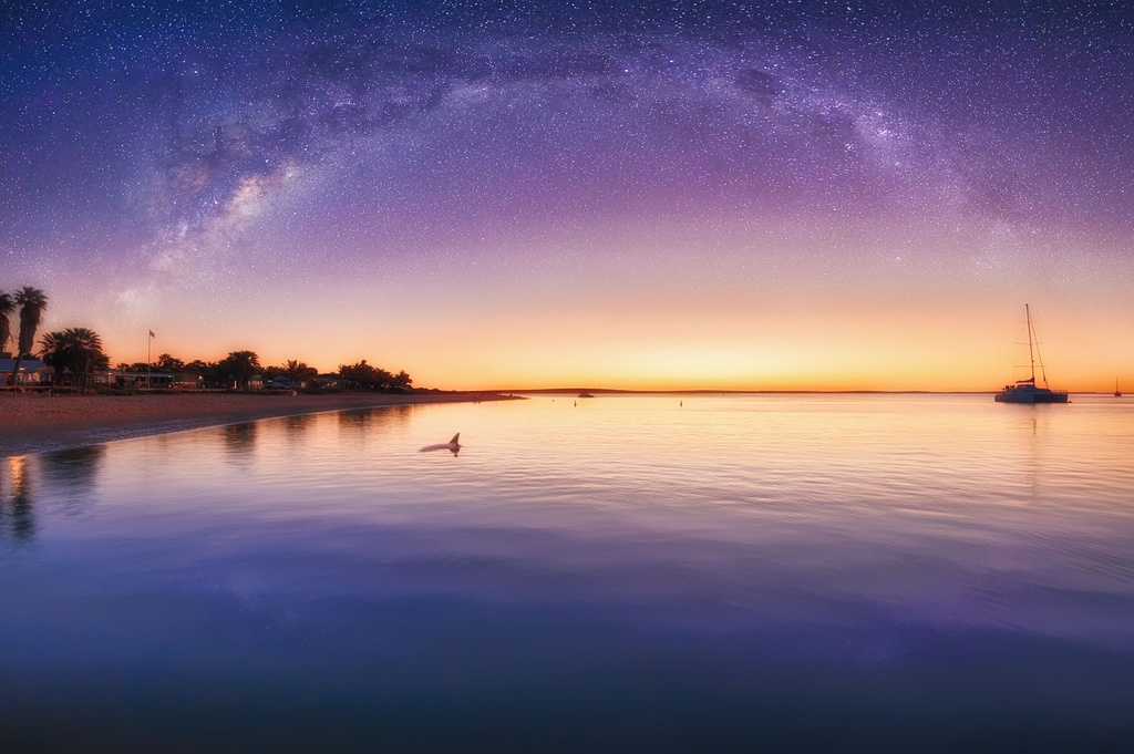 SUN0183 - Monkey Mia (Fine Art Print - Rolled, 45 x 30cm)