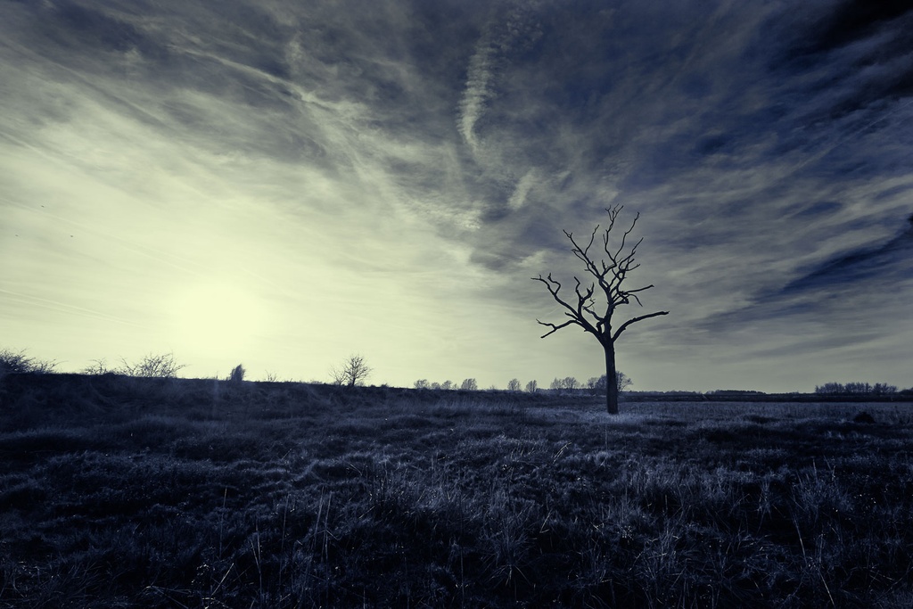 SUN0172 - Tollesbury Marshes