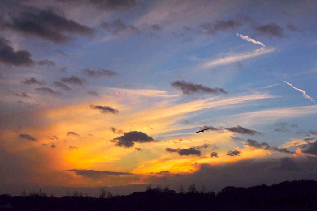 SUN0097 - Wivenhoe Sunset