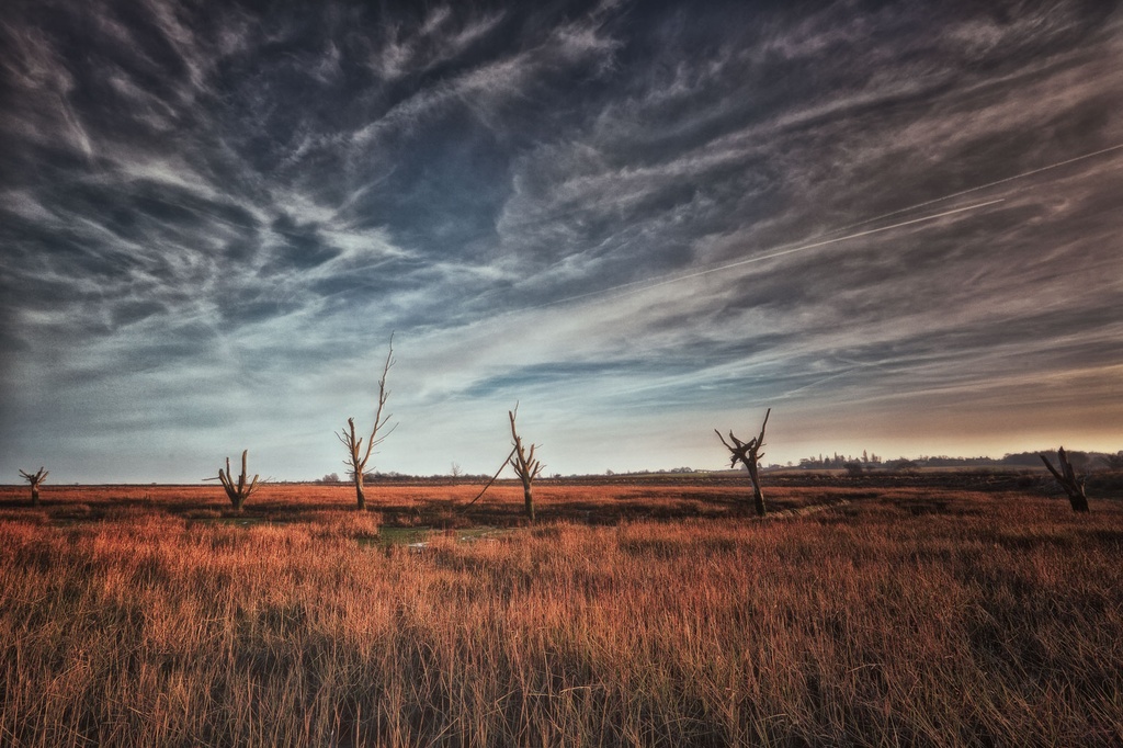 SUN0185 - Tollesbury Marshes (Fine Art Print - Rolled, 45cm x 30cm)