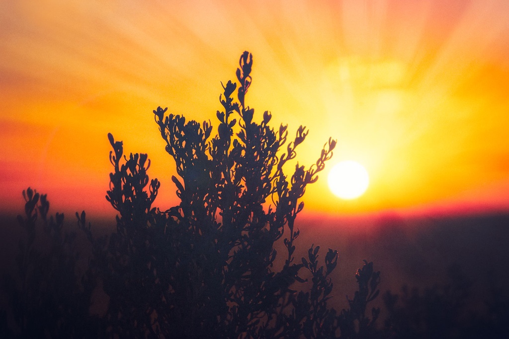 SUN0269 - Summer Sunset