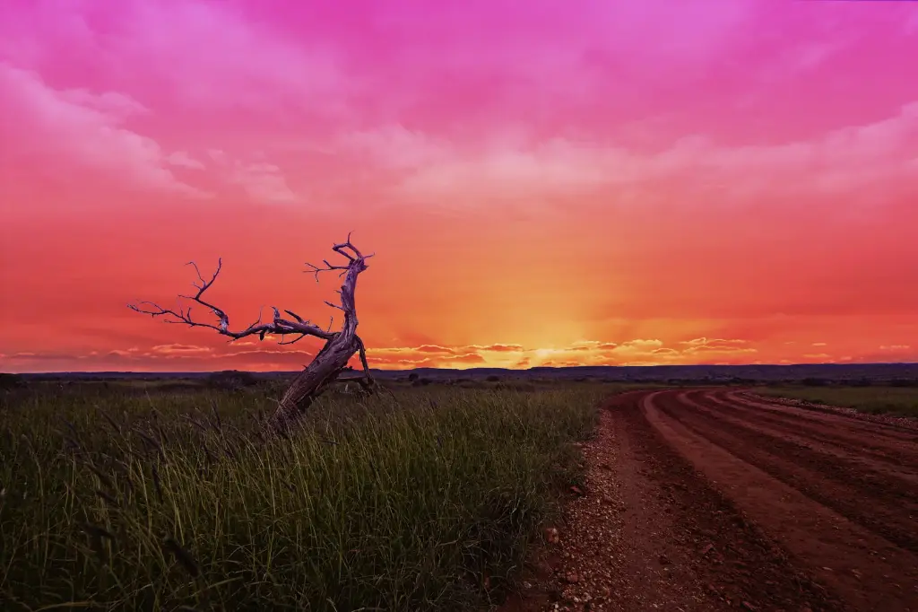 SUN0344 - Cape Range Sunrise