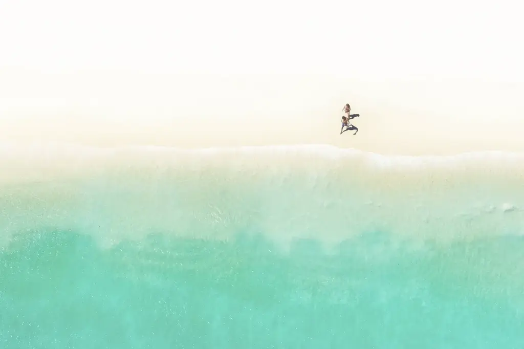 SUN0355 - Beach Life (Fine Art Print - Rolled, 45cm x 30cm)