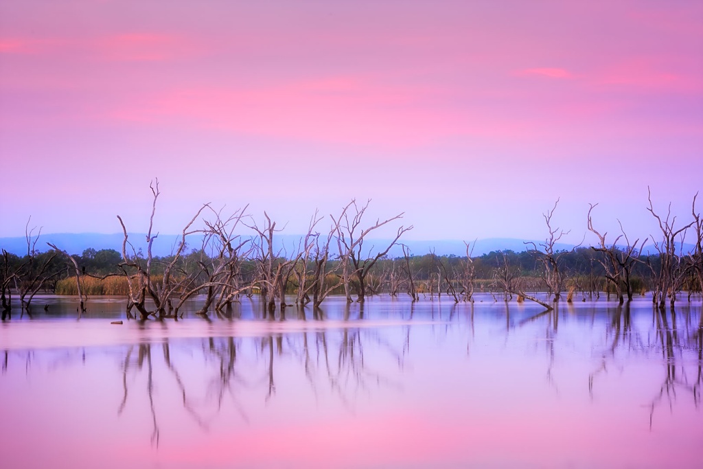 SUN0505 - Lily Creek Sunrise (Fine Art Print - Rolled, 45cm x 30cm)