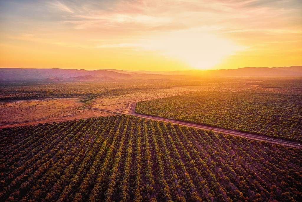 SUN0504 - Kununurra Mango Fields (Fine Art Print - Rolled, 45cm x 30cm)