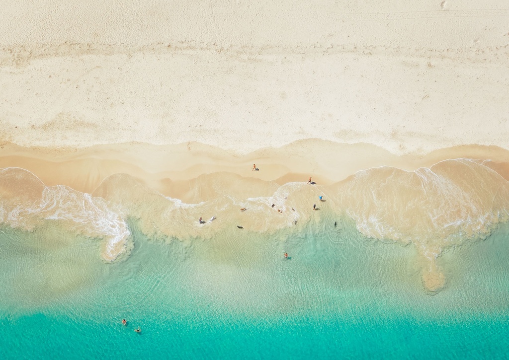 SUN0554 - Brighton Dog Beach (Fine Art Print - Rolled, 45cm x 30cm)