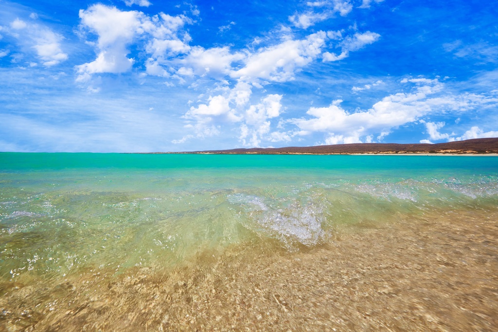 SUN0596 - Turquoise Bay Shore