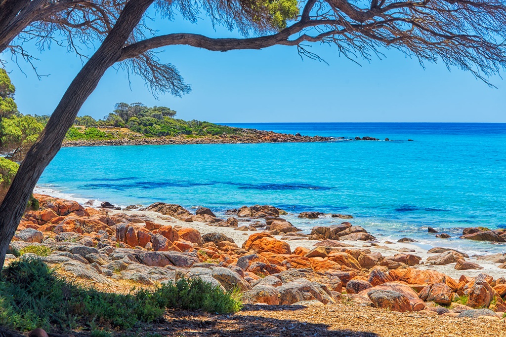 SUN0625 - Point Picquet (Fine Art Print - Rolled, 45cm x 30cm)