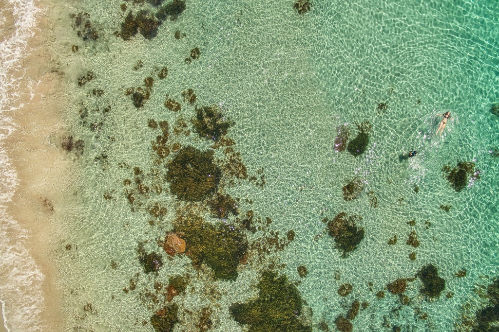 SUN0656 - Castle Rock Swim