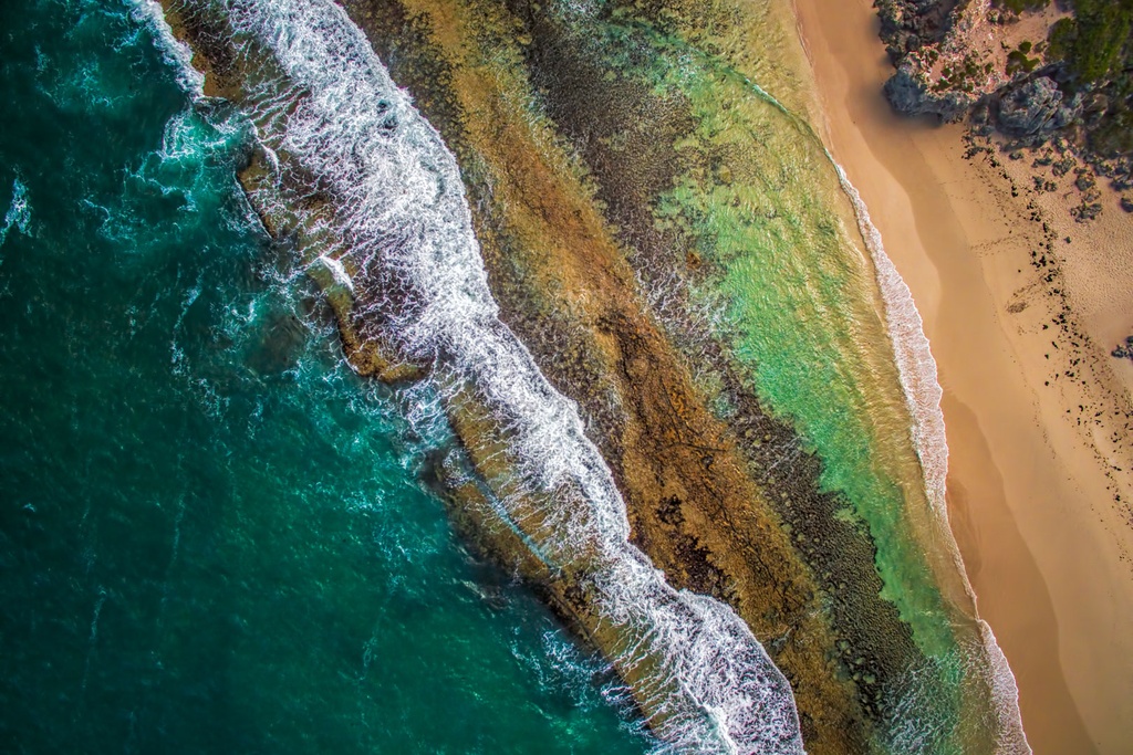 SUN0690 - Yanchep Textures (Fine Art Print - Rolled, 45cm x 30cm)