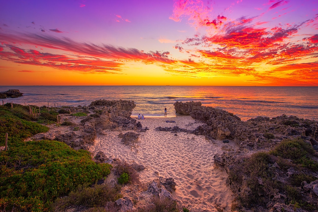 SUN0697 - Mettam Watchers