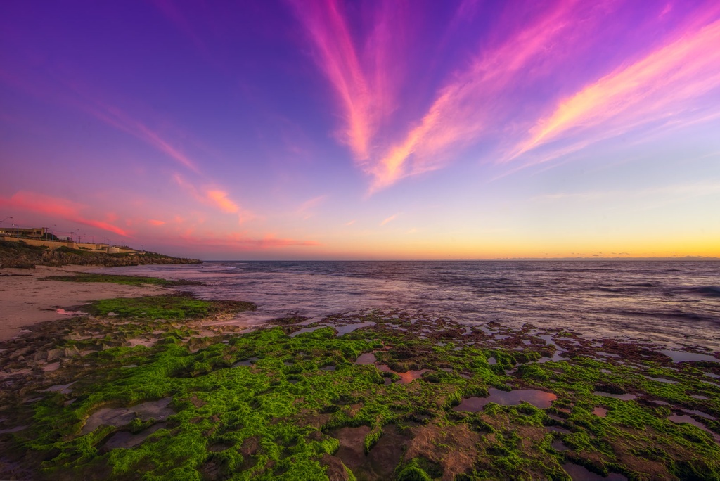 SUN0713 - North Beach Moss (Fine Art Print - Rolled, 45cm x 30cm)