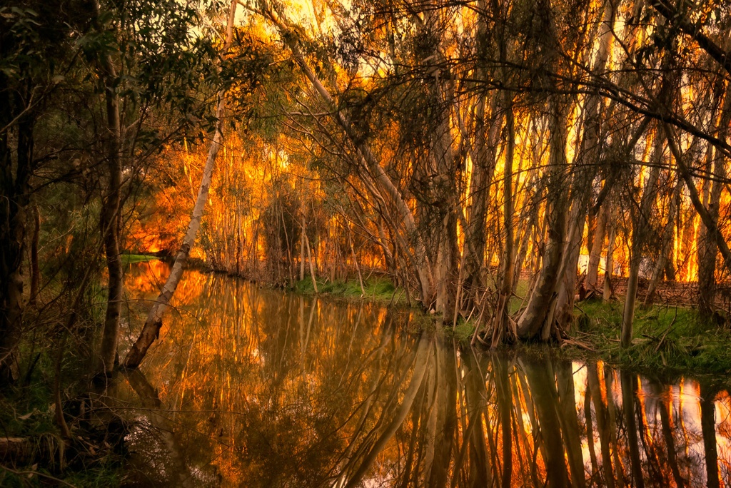 SUN0720 - Golden Lake