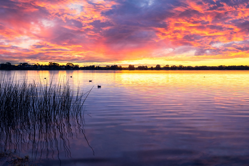 SUN0728 - Lake Monger Winter (Fine Art Print - Rolled, 45cm x 30cm)