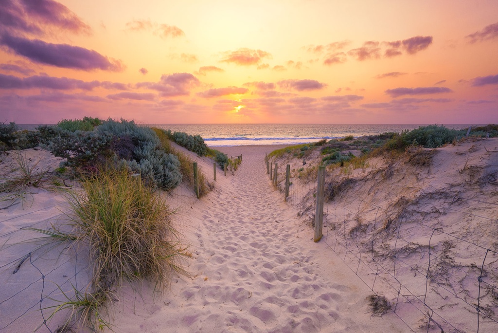 SUN0732 - Trigg Soft Path (Fine Art Print - Rolled, 45cm x 30cm)