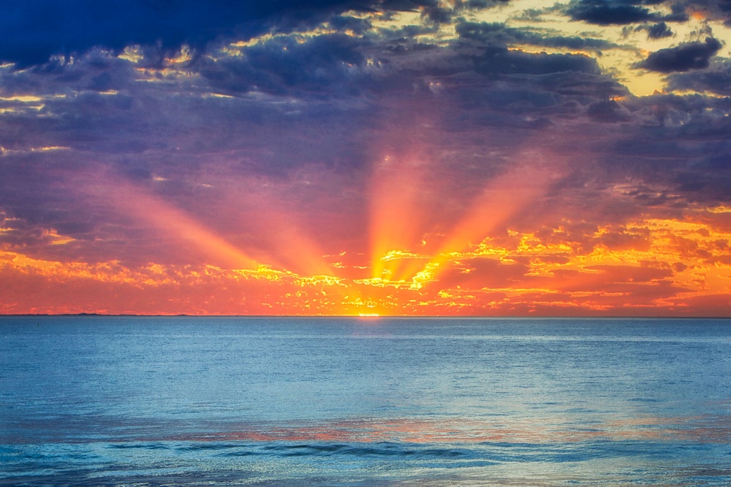 SUN0738 - Trigg Rays