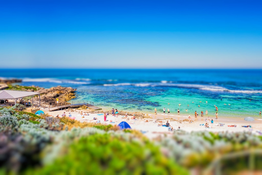 SUN0744 - Mini Mettams (Fine Art Print - Rolled, 45cm x 30cm)