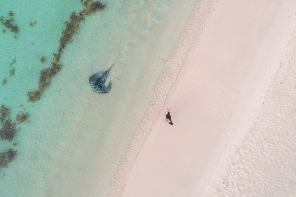 SUN0766 - Ray in the Bay (Fine Art Print - Rolled, 45cm x 30cm)