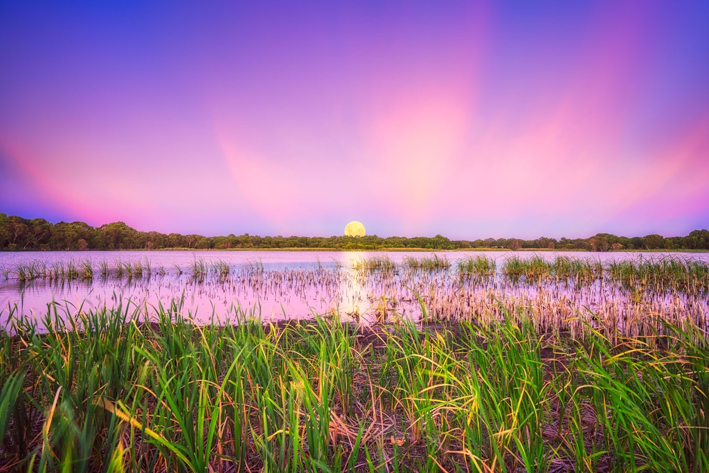 SUN0777 - Gwelup Moonrise (Fine Art Print - Rolled, 45cm x 30cm)