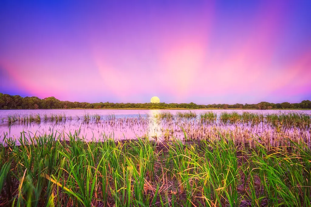 SUN0777 - Gwelup Moonrise