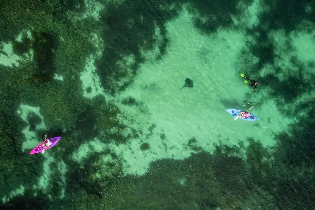 SUN0778 - Sandy Cape Kayak