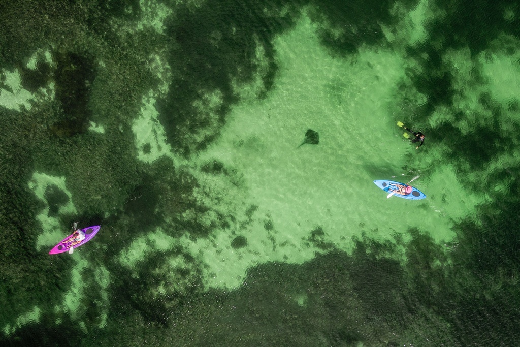 SUN0778 - Sandy Cape Kayak (Fine Art Print - Rolled, 45cm x 30cm)