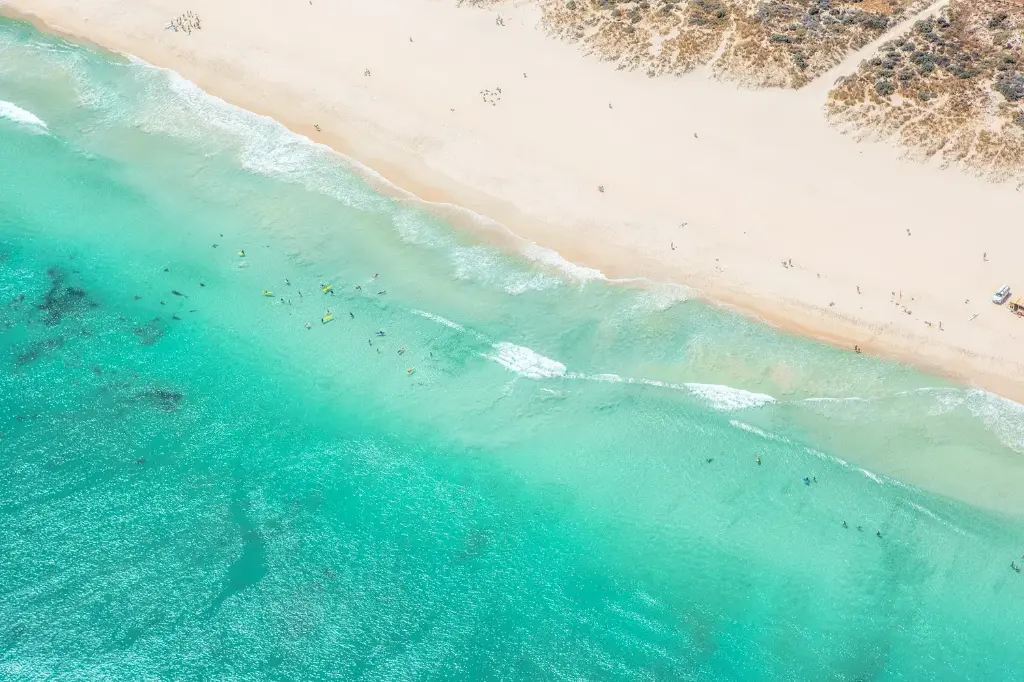 SUN0843 - Trigg Surf School